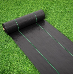 Charfleets Fencing