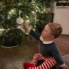 Premium Nordman Fir Christmas Tree | 7FT - 8FT | White Label - Image 2