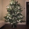 Premium Nordman Fir Christmas Tree | 7FT - 8FT | White Label - Image 3